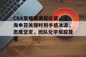 CBA常规赛赛程吃紧,上海申花关键时刻手感冰凉,态度坚定,团队化学反应显著的简单介绍-英雄联盟