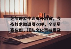 包含芝加哥公牛训练开放日，今夜战术微调引欢呼，全明星赛在即，球队文化再被提及的词条-乐竞体育平台